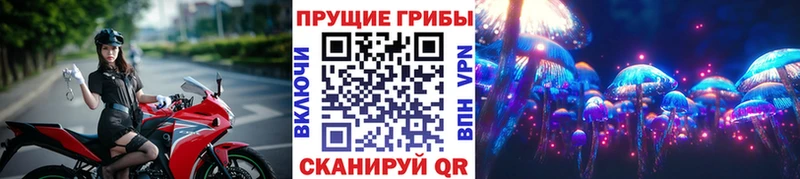 Купить где  Красноярск  Галлюциногенные грибы GOLDEN TEACHER 